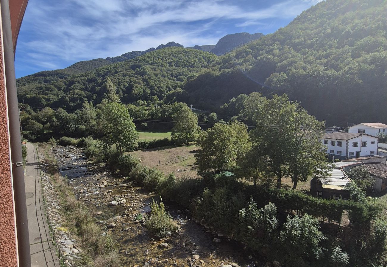 Apartment in Aller - 21A07 Apartamento en Felechosa