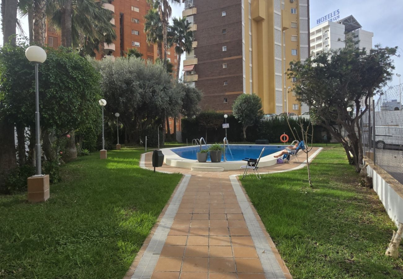 Apartment in Benidorm - GEMELOS 5 4C