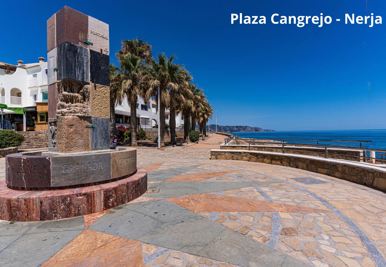 Apartment in Nerja - Plaza Marina Living by Casasol