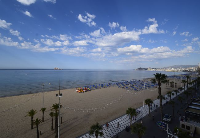 Apartment in Benidorm - CACHIRULO 6D