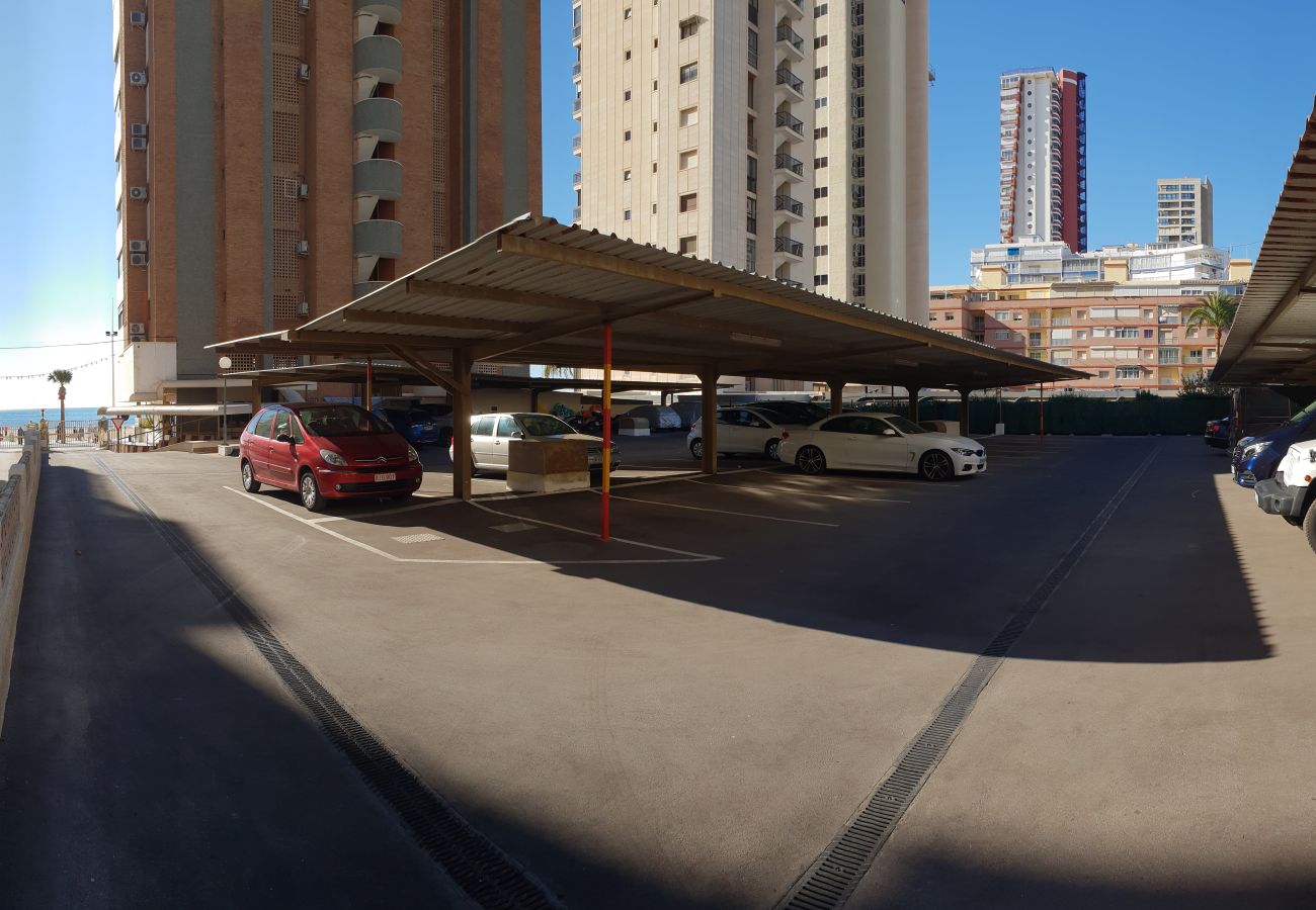 Apartment in Benidorm - CACHIRULO 6D