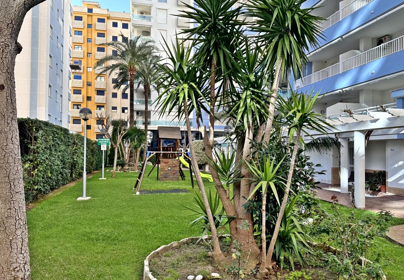Apartment in Gandía - PALMERAS III - BL 2 - 1ª - 1º - A