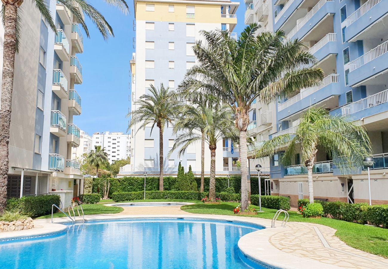 Apartment in Gandía - PALMERAS III - BL 2 - 1ª - 1º - A