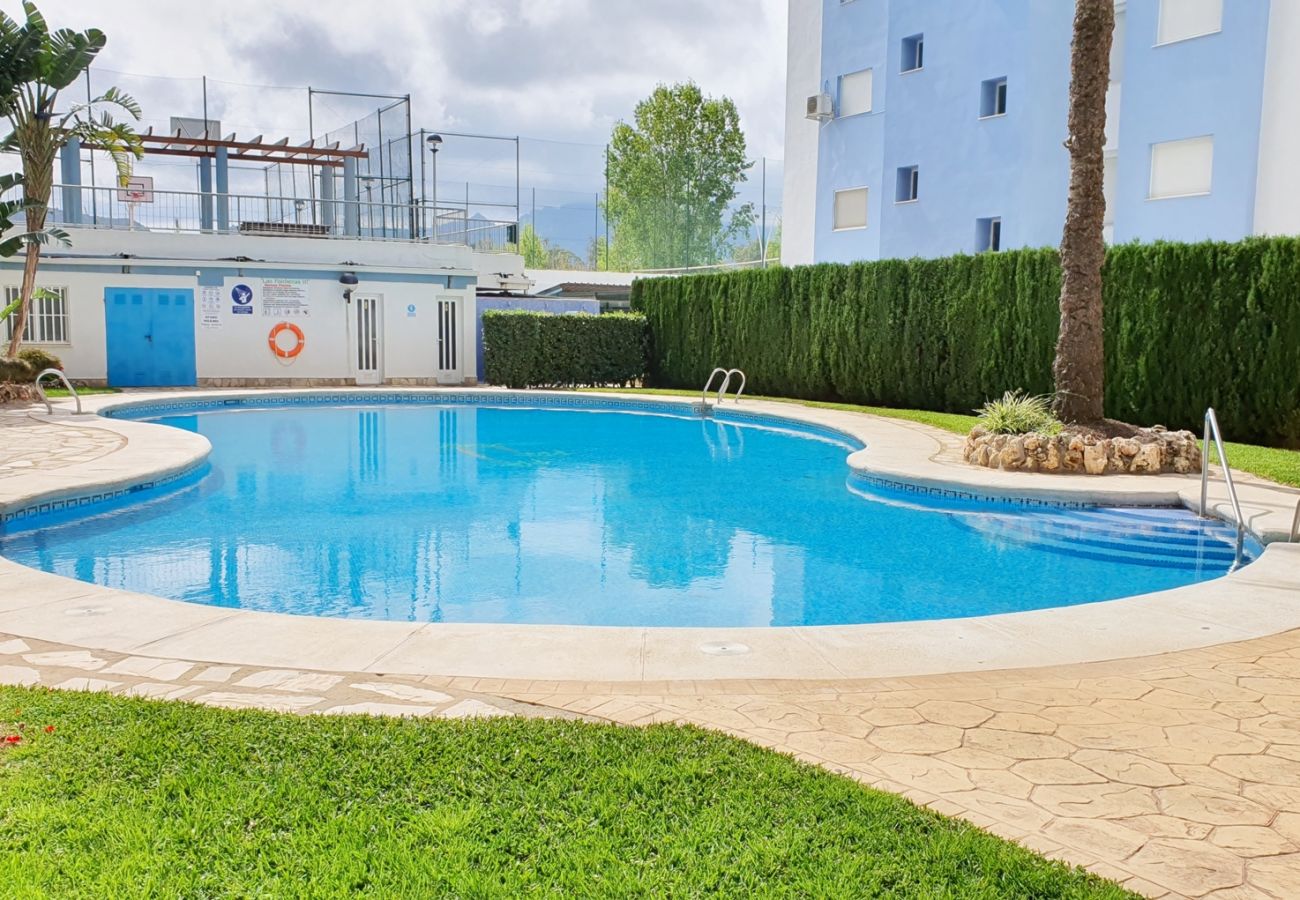 Apartment in Gandía - PALMERAS III - BL 2 - 1ª - 1º - A