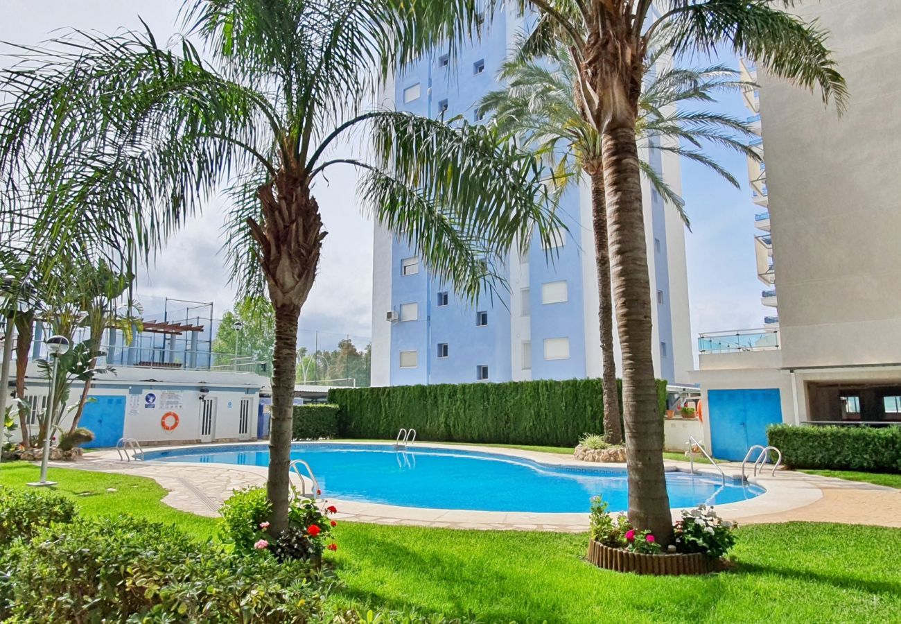 Apartment in Gandía - PALMERAS III - BL 2 - 1ª - 1º - A