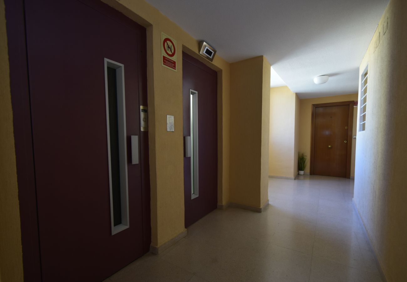 Studio in Benidorm - COBLANCA 29 - T2  16-5