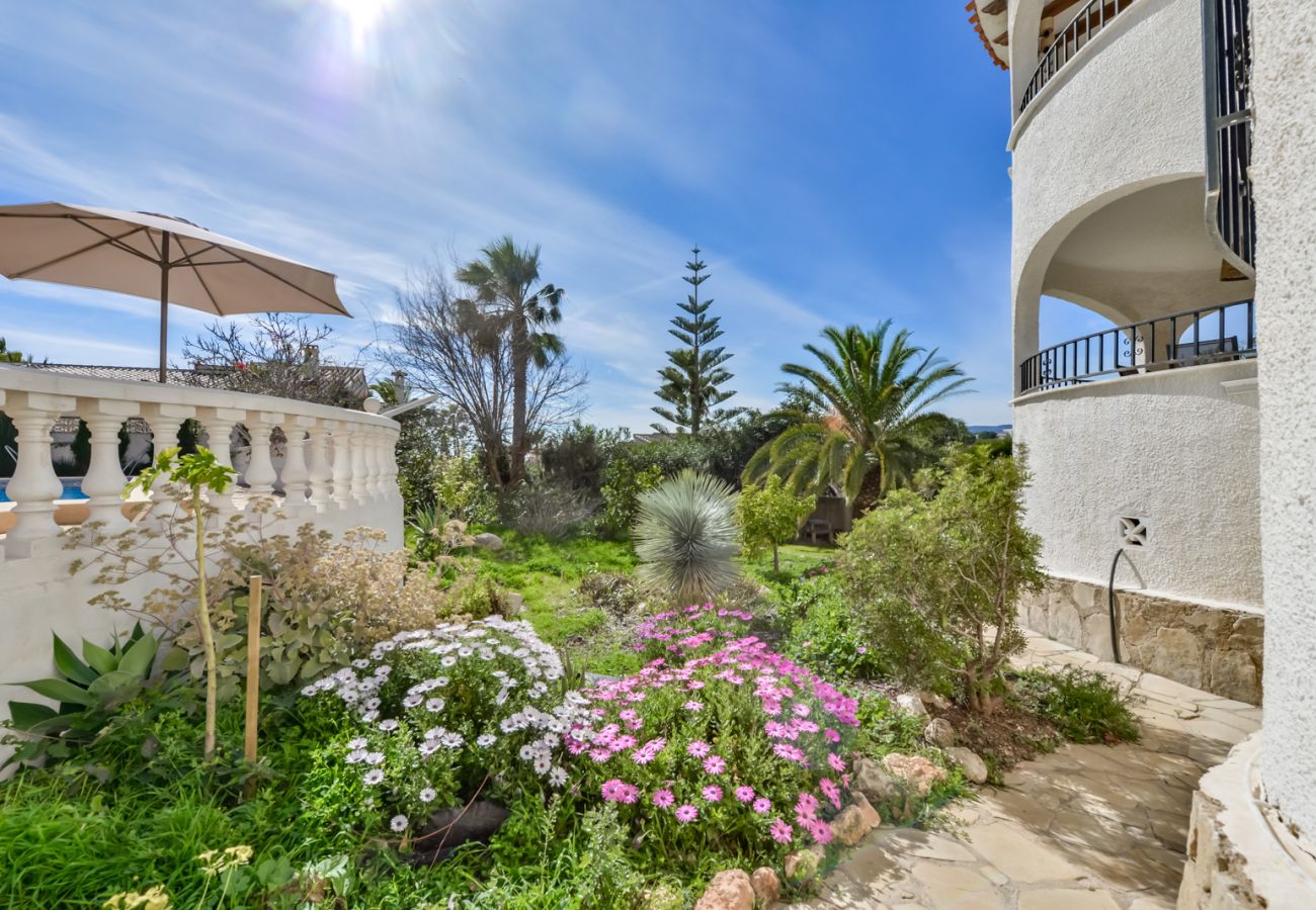 Villa in Calpe / Calp - AT363 Buenavista