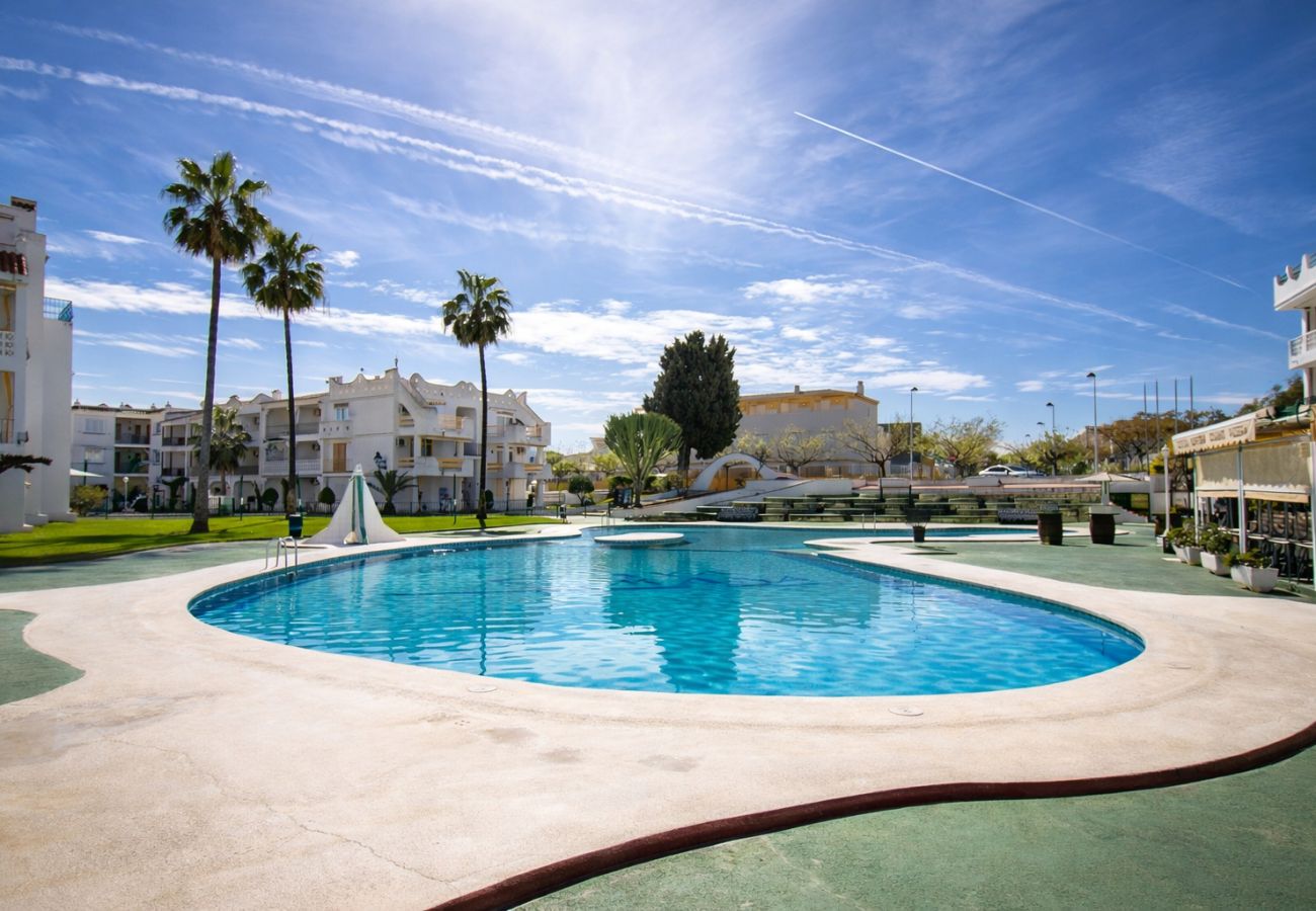Apartment in Alcocebre / Alcossebre - Romana Pool & Beach *PET FRIENDLY*