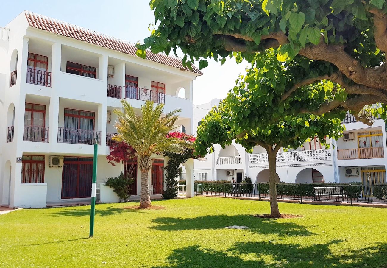 Apartment in Alcocebre / Alcossebre - Romana Blue *PET FRIENDLY* Habitat