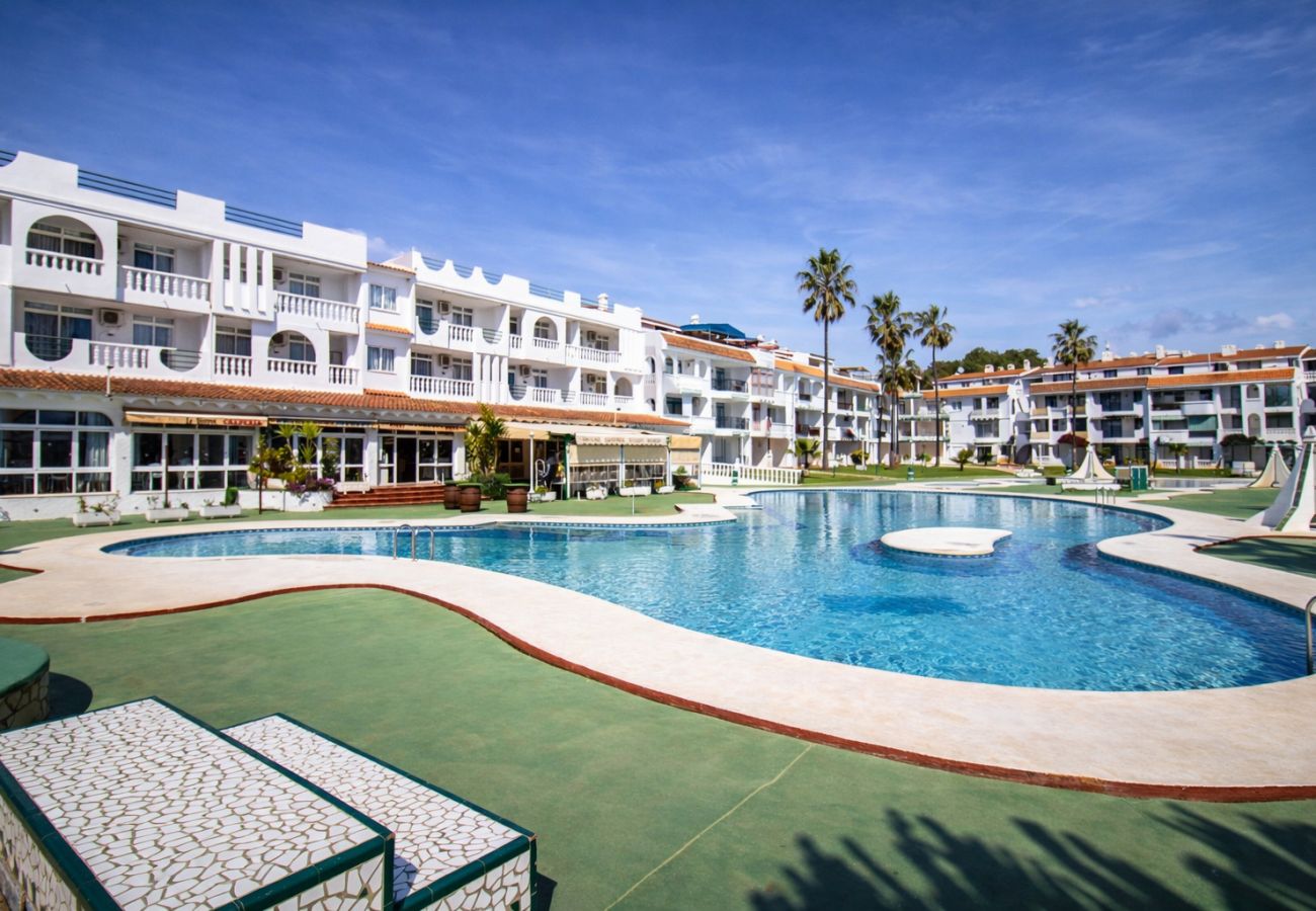 Apartment in Alcocebre / Alcossebre - Romana Pool View *PET FRIENDLY* Habitat