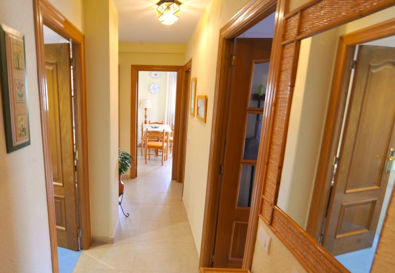 Apartment in Benicàssim - PINARLANDIA D-8-4