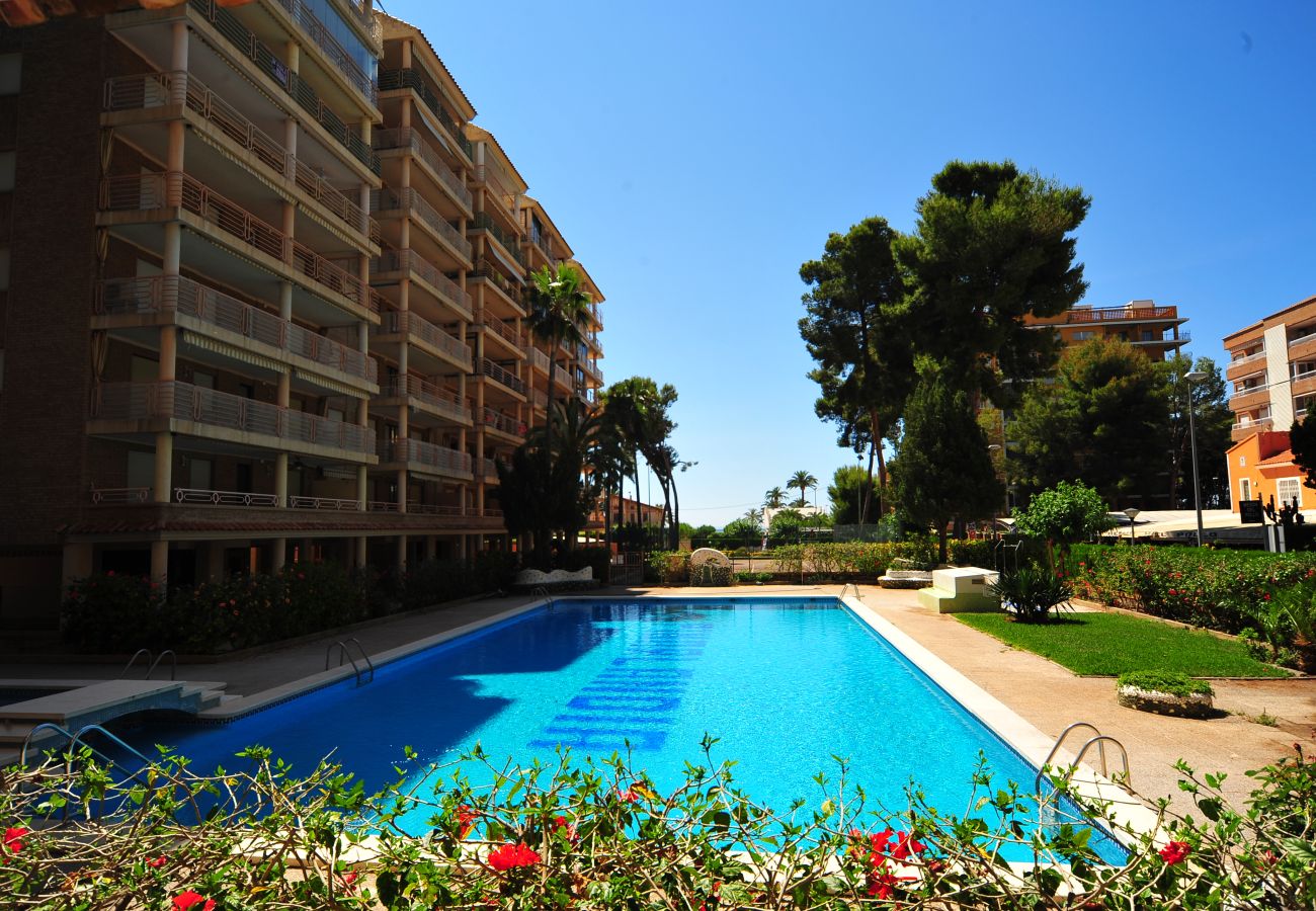 Apartment in Benicàssim - PINARLANDIA D-8-4