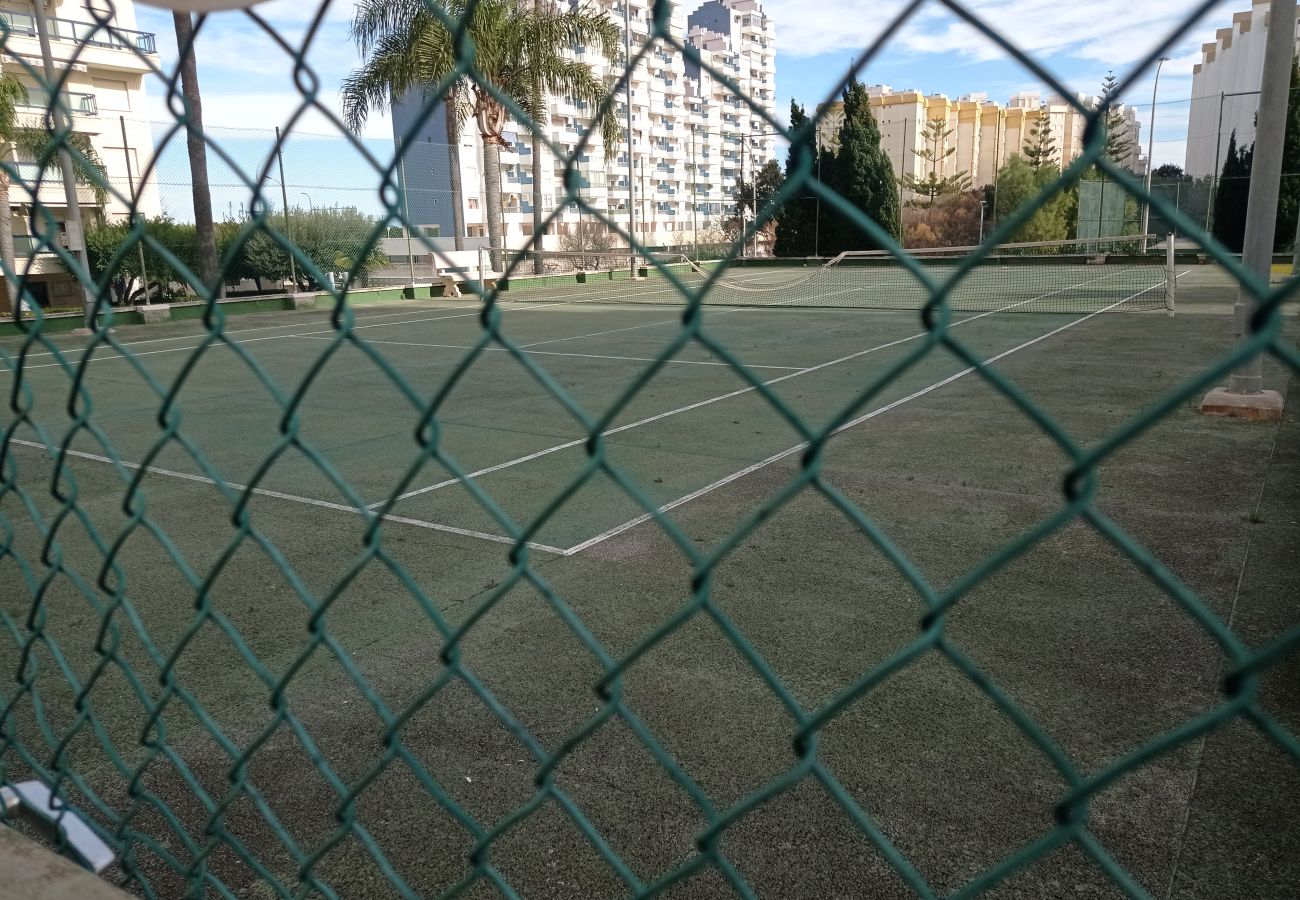 Apartment in Playa de Gandía - 1.Rioja Salinas III esc.2 5º D