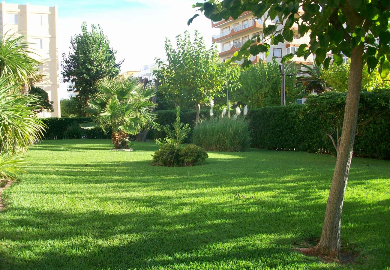 Apartment in Gandía - DON CHIMO 2º - 10