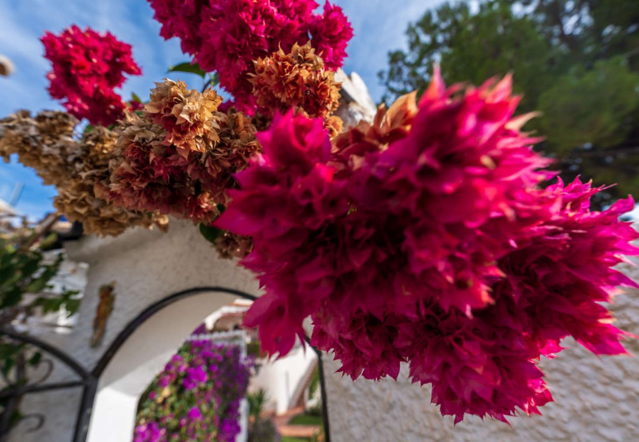 Apartment in Nerja - San Francisco 29 Casa Tranquila by Casasol