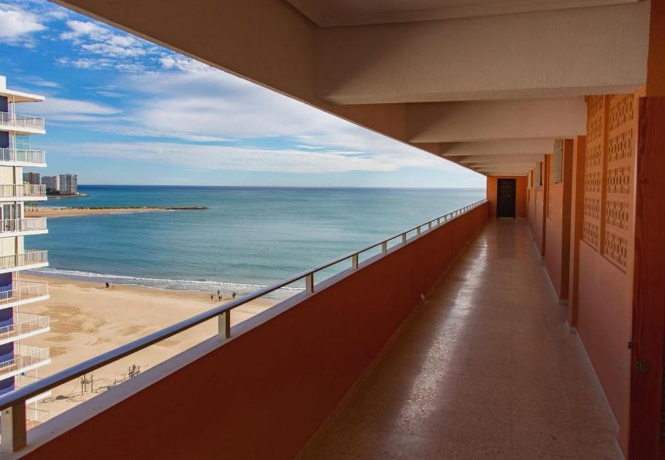 Apartment in Cullera - PRADO, A-10º-103