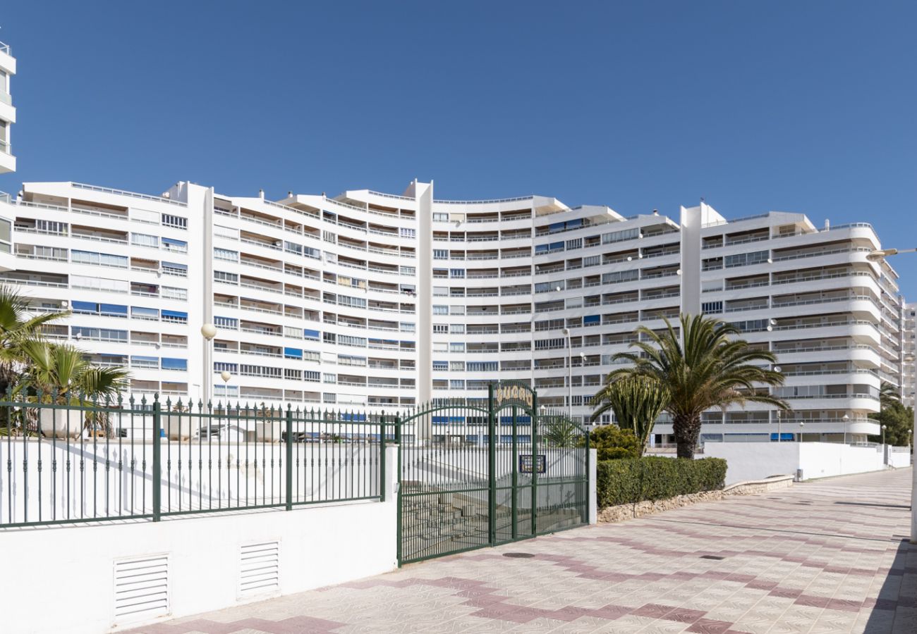 Apartment in Cullera - PRADO, A-10º-103