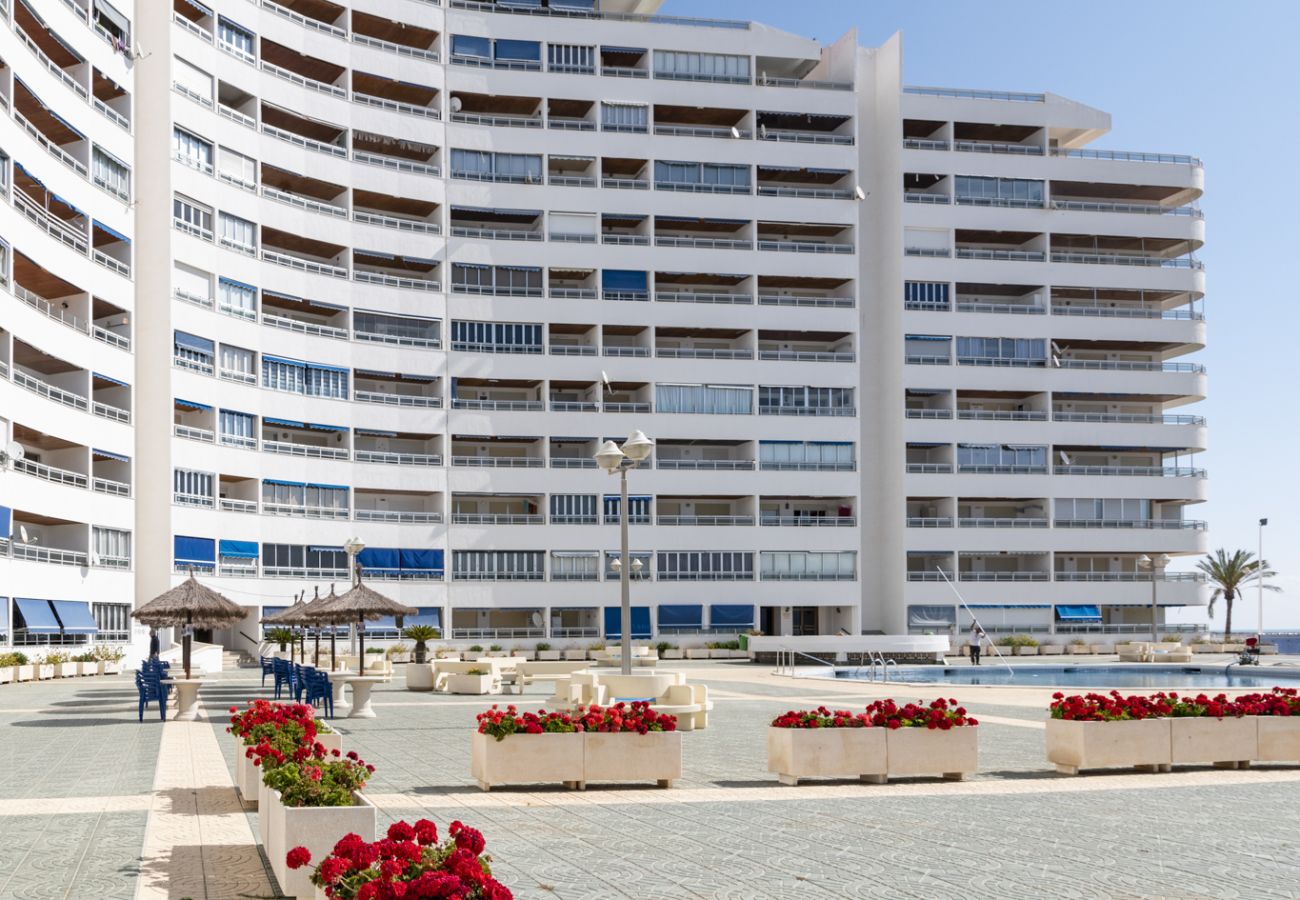 Apartment in Cullera - PRADO, A-10º-103