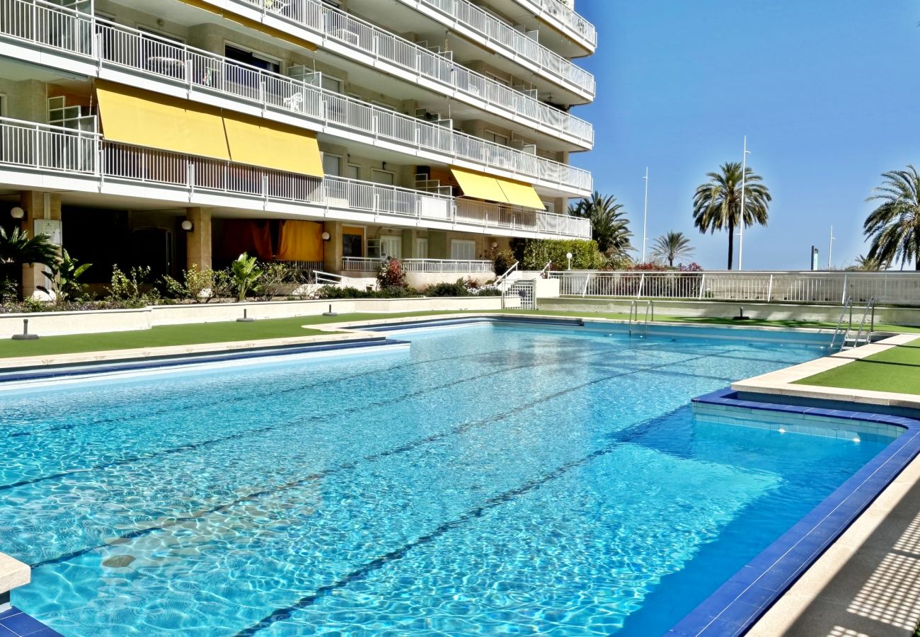Apartment in Gandía - AGUAMARINA 4ª - 2 - IZQ