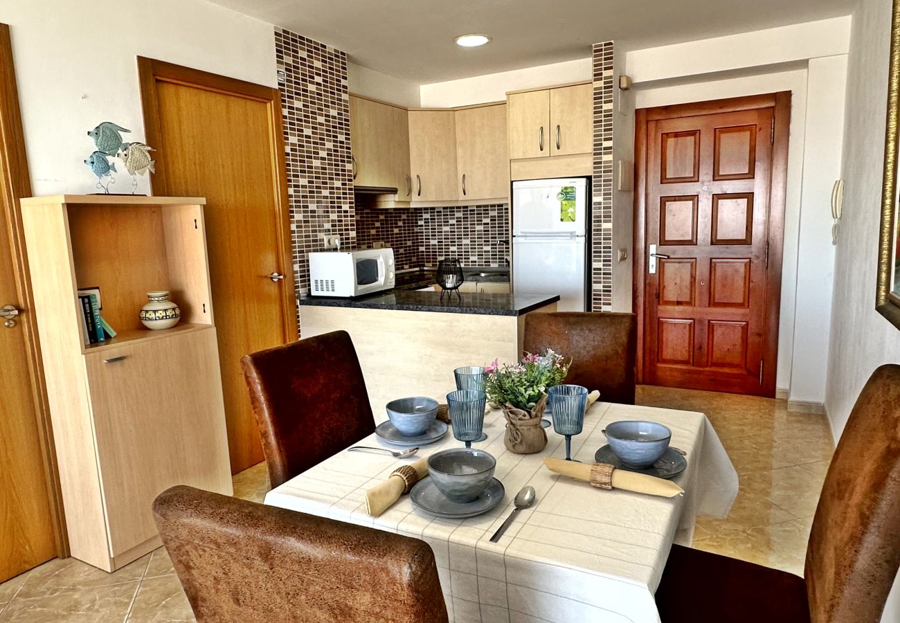 Apartment in Gandía - INFANTE E6 - 13