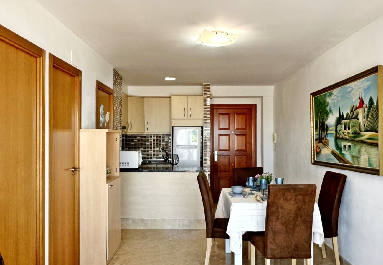 Apartment in Gandía - INFANTE E6 - 13