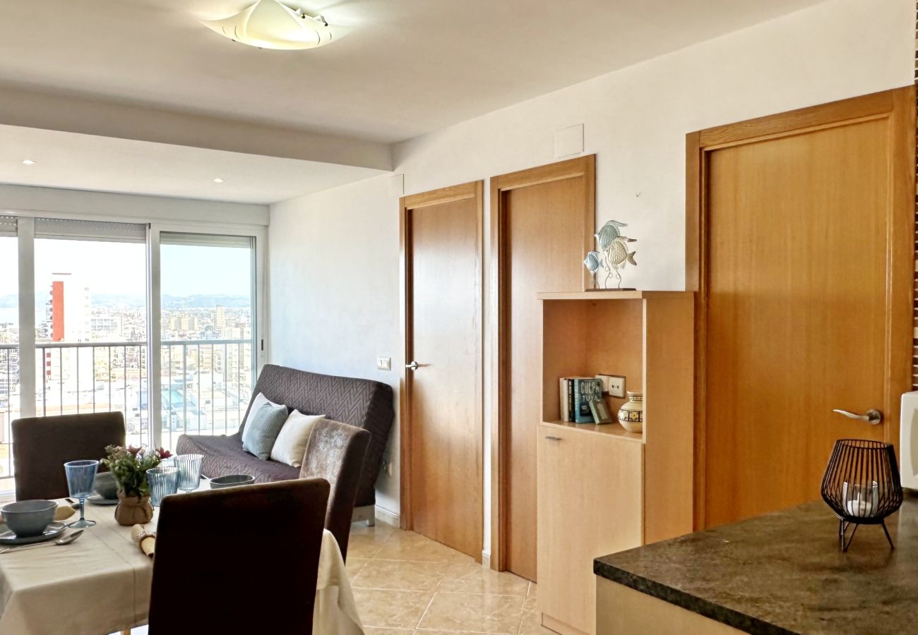 Apartment in Gandía - INFANTE E6 - 13
