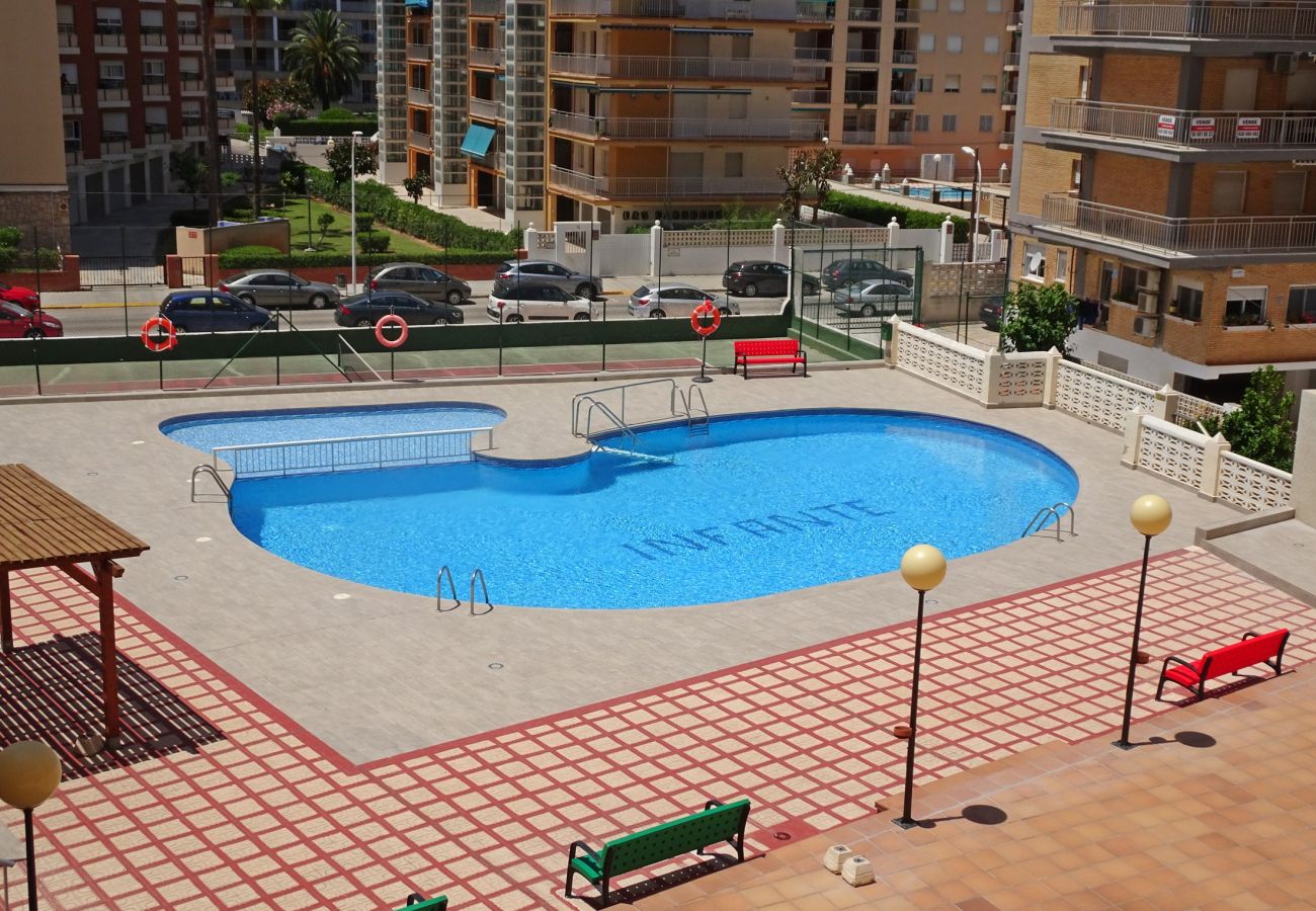 Apartment in Gandía - INFANTE E6 - 13