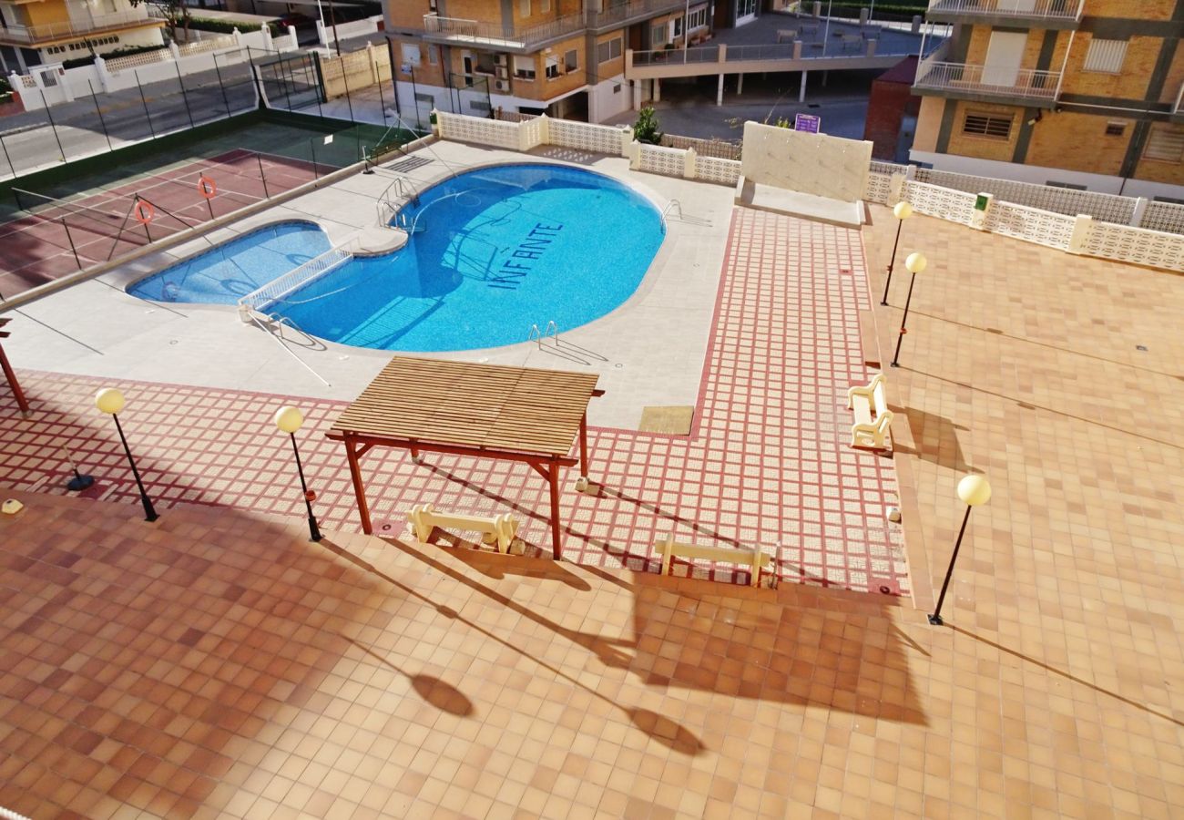 Apartment in Gandía - INFANTE E6 - 13