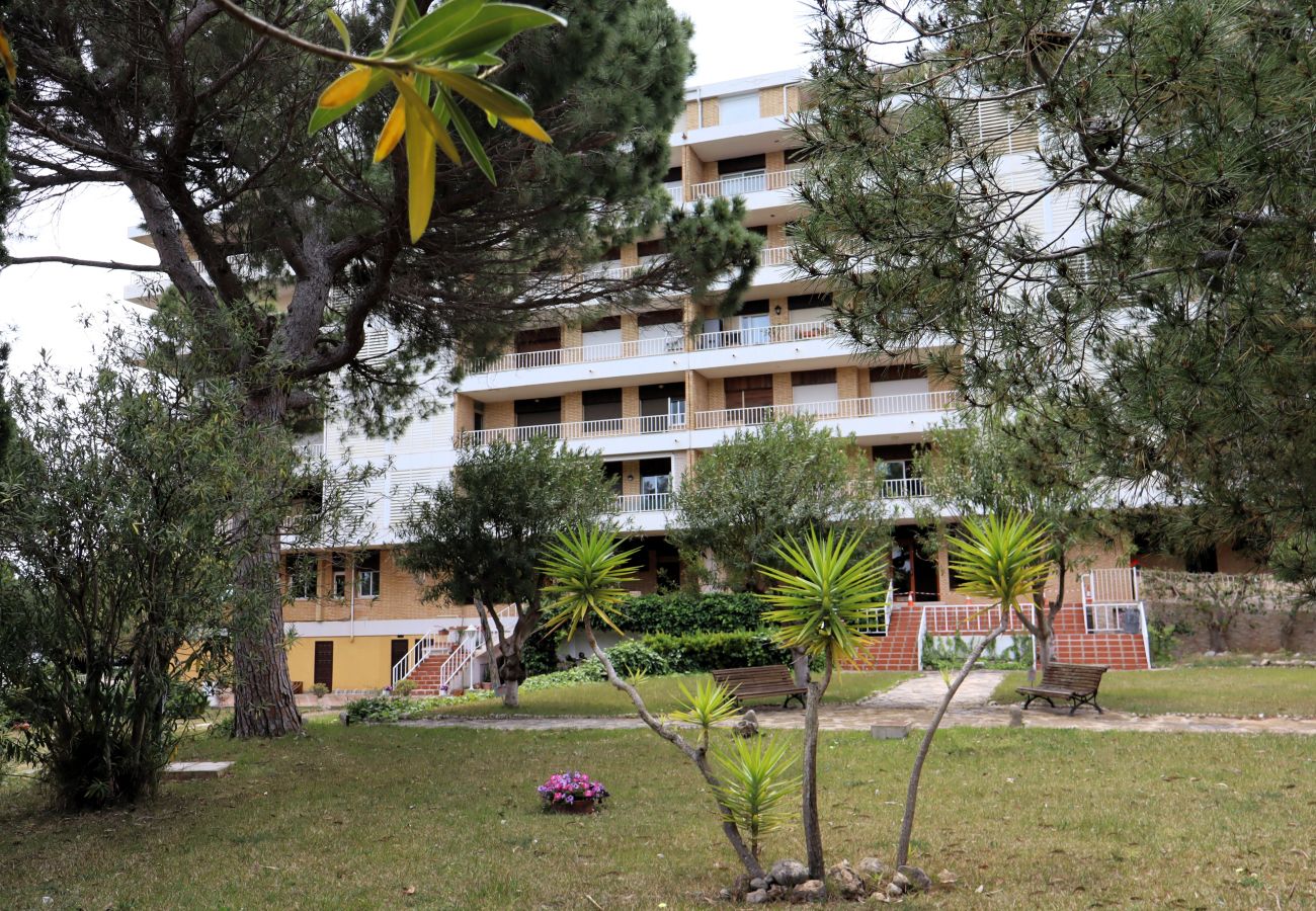 Studio in Peñiscola - Puerto Azul Estudio playavacaciones