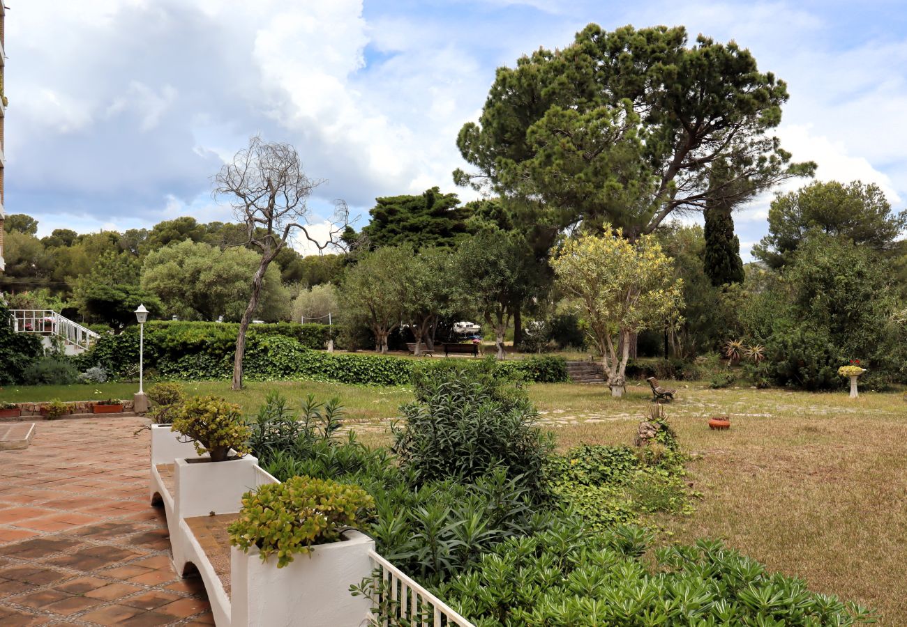 Studio in Peñiscola - Puerto Azul Estudio playavacaciones