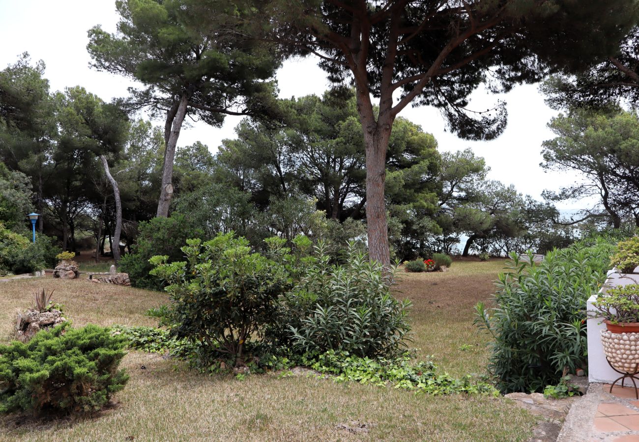 Studio in Peñiscola - Puerto Azul Estudio playavacaciones