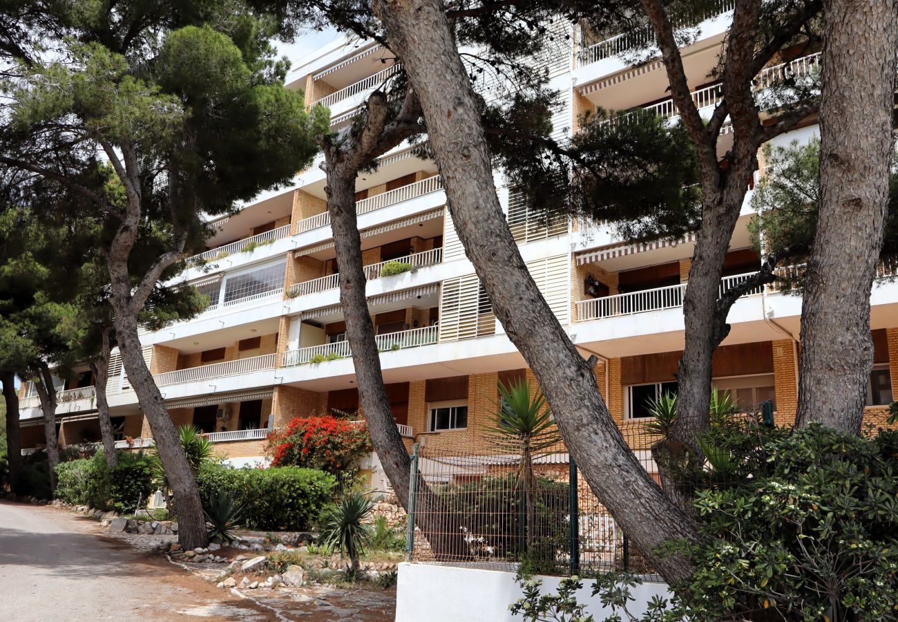 Studio in Peñiscola - Puerto Azul Estudio playavacaciones