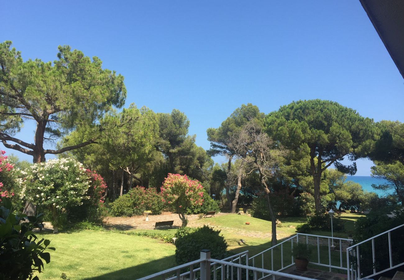 Studio in Peñiscola - Puerto Azul Estudio playavacaciones