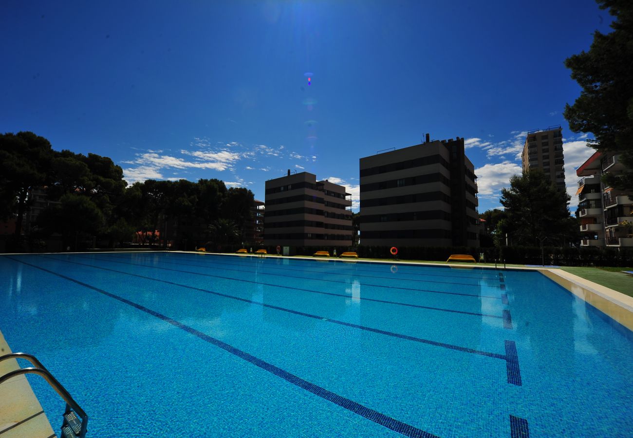 Apartment in Benicàssim - PRINCICASIM 1D II-I-3-8