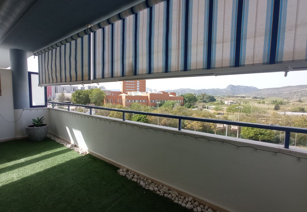 Apartment in Playa de Gandía - 1.Edificio AZUL V 2º ático