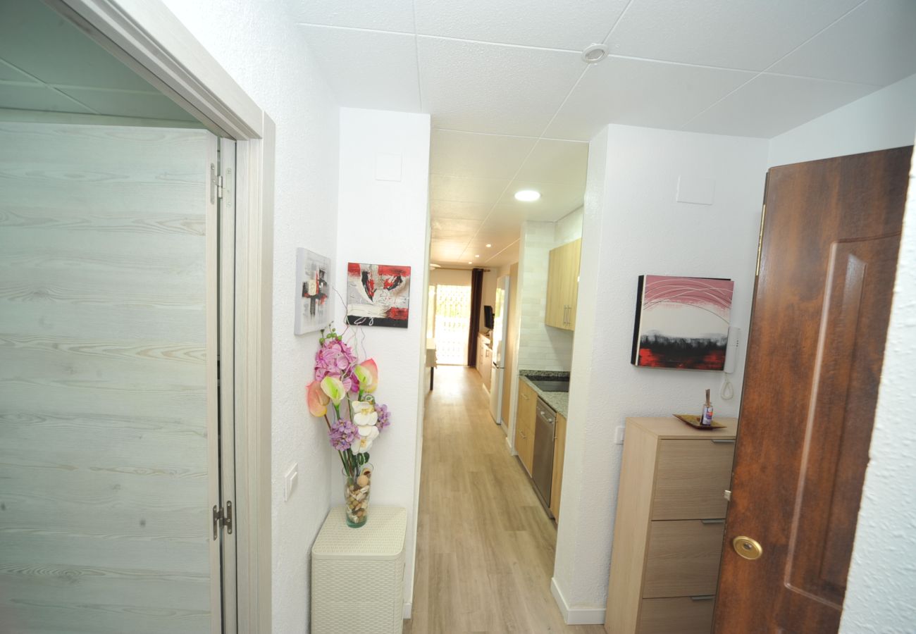 Apartment in Alcocebre / Alcossebre - SOL Y MAR BAJO ESC A -A1