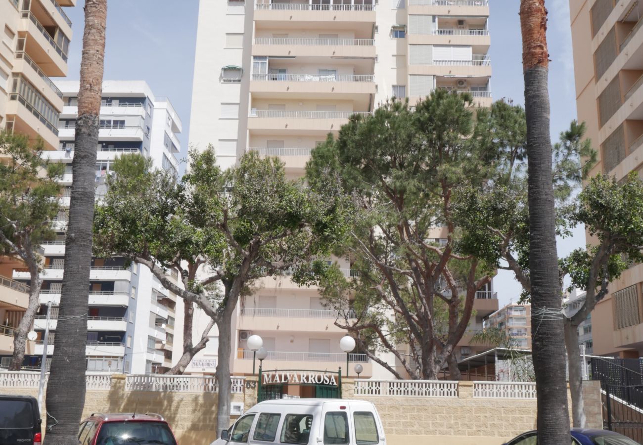 Apartment in Cullera - MALVARROSA, 10º68