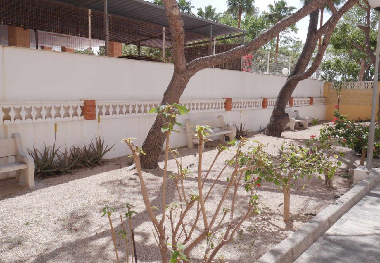 Apartment in Cullera - MALVARROSA, 10º68