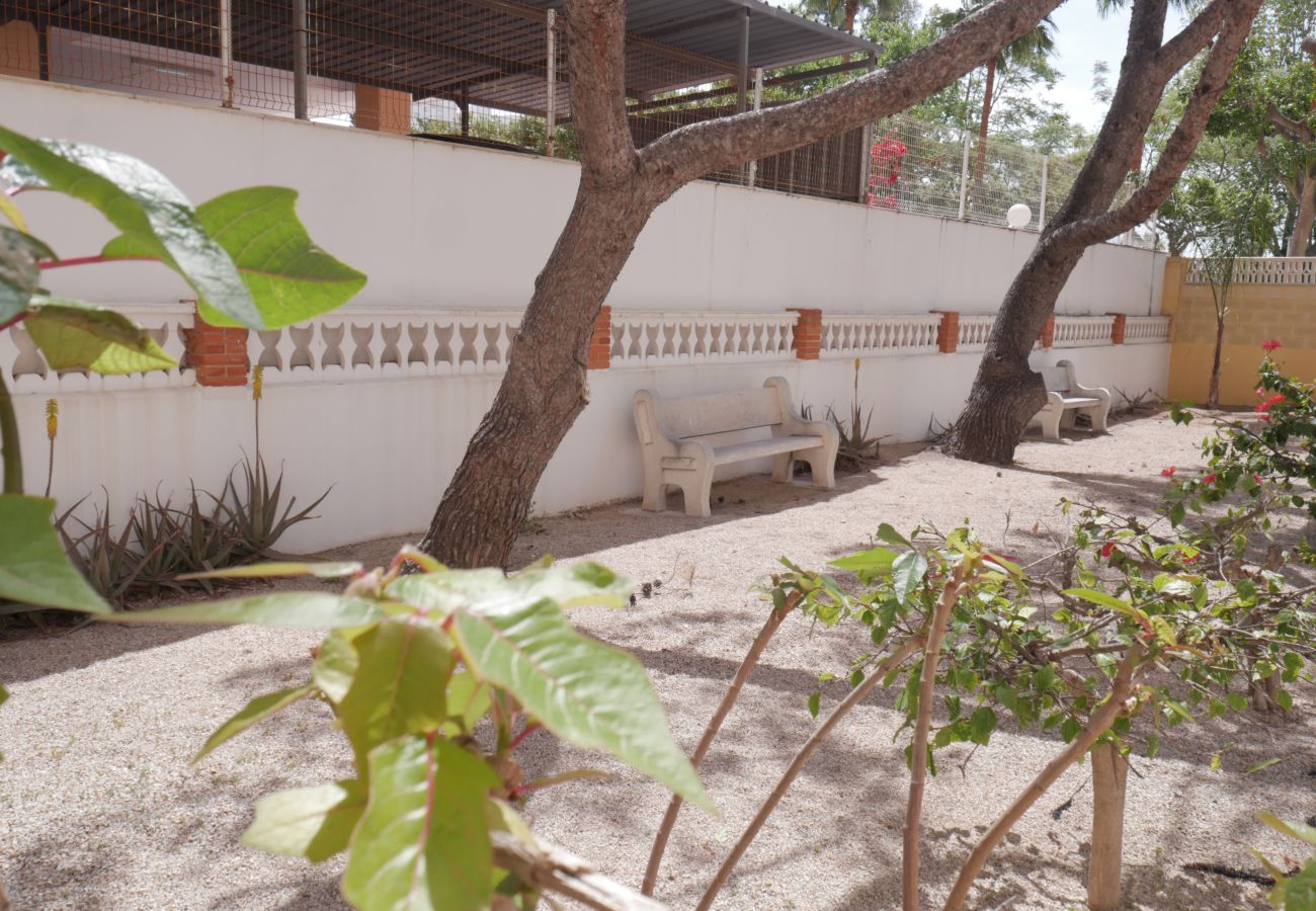 Apartment in Cullera - MALVARROSA, 10º68
