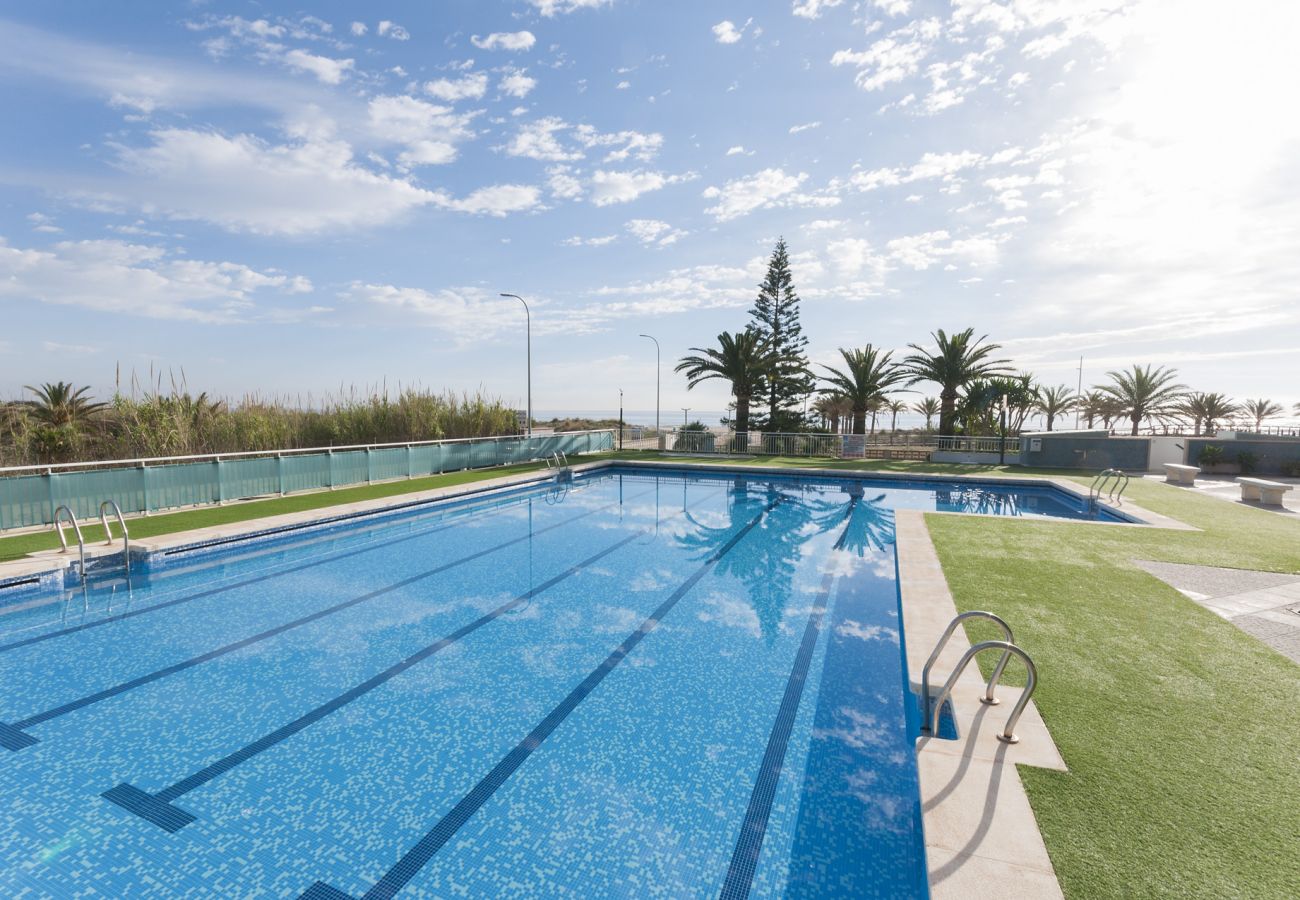 Apartment in Playa de Gandía - 40. AG AIGUABLAVA 3-3