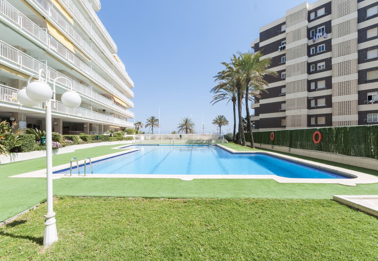 Apartment in Playa de Gandía - 32. AG AGUAMARINA 2C