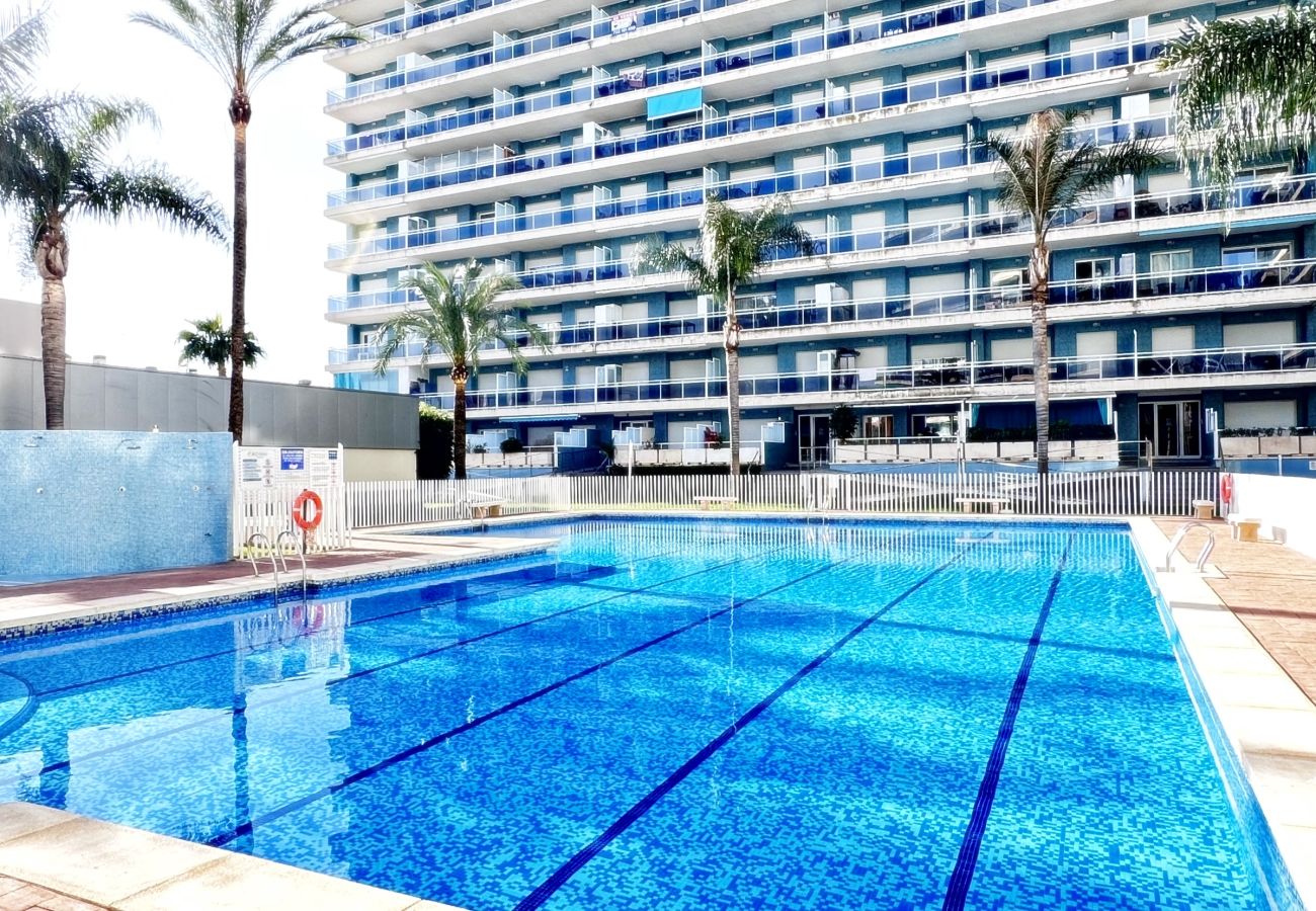 Apartment in Gandía - ATHENEA 1ª - 5º - Pta B