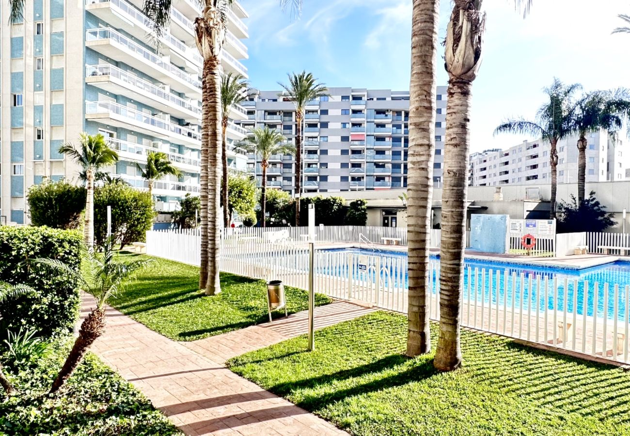 Apartment in Gandía - ATHENEA 1ª - 5º - Pta B