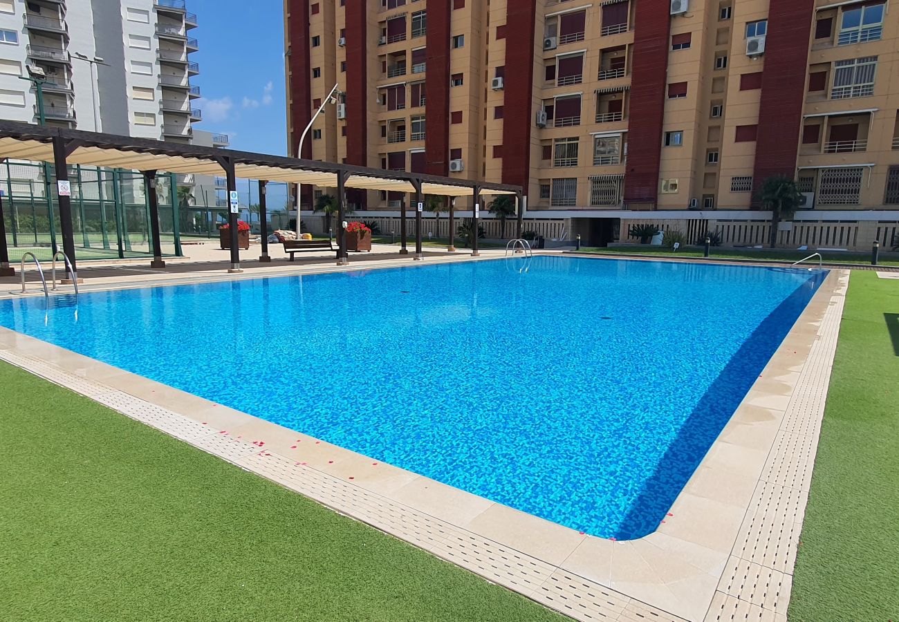 Apartment in Gandía - BERMUDAS 1ª - 2º - B