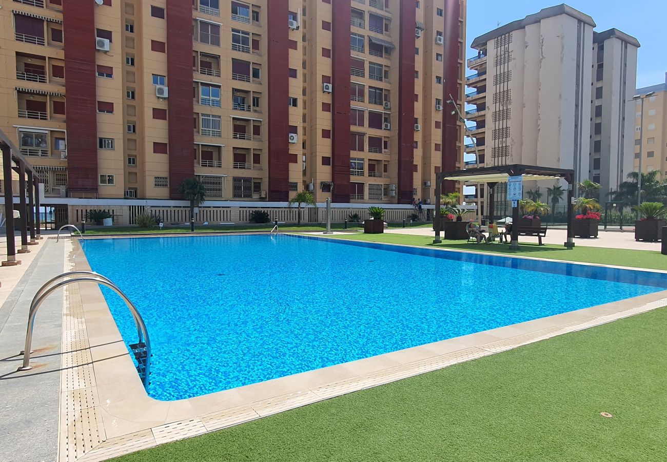 Apartment in Gandía - BERMUDAS 1ª - 2º - B