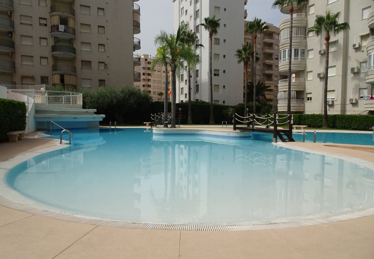 Apartment in Gandía - TROPICANA PARK 18 - 3ª - 8º - 48ª