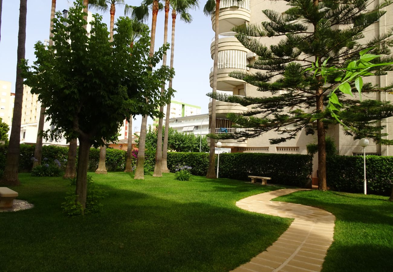 Apartment in Gandía - TROPICANA PARK 18 - 3ª - 8º - 48ª