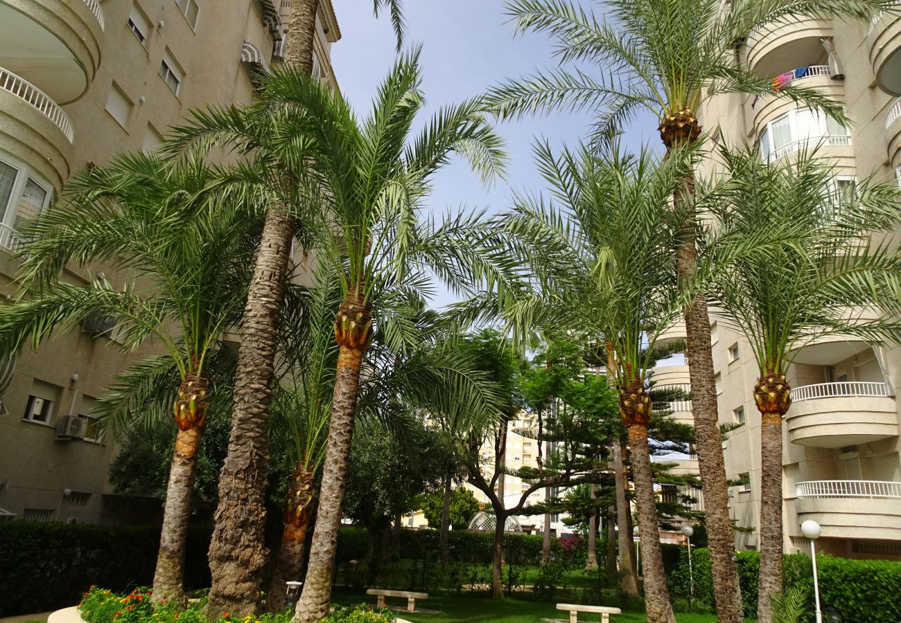 Apartment in Gandía - TROPICANA PARK 18 - 3ª - 8º - 48ª