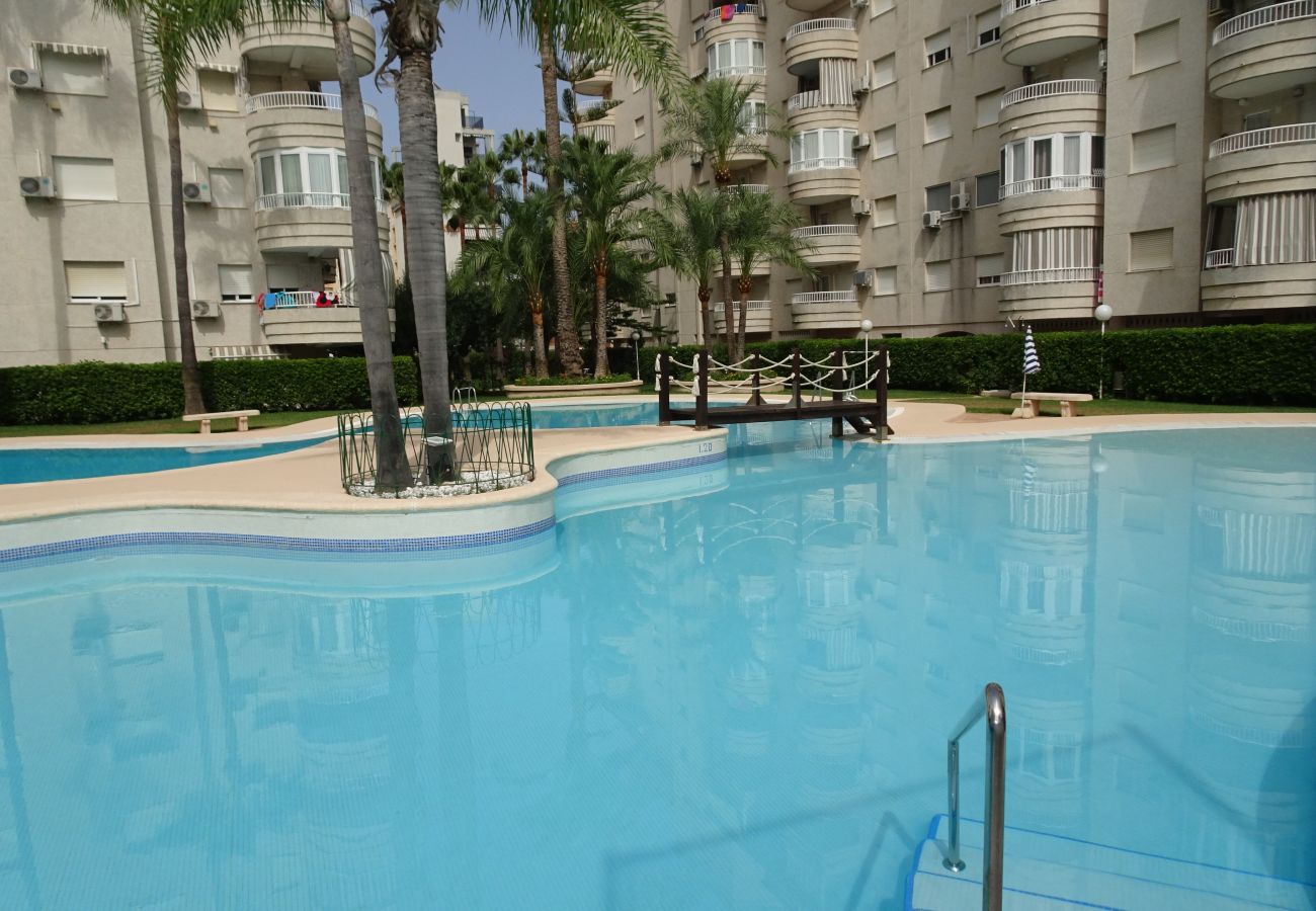 Apartment in Gandía - TROPICANA PARK 18 - 3ª - 8º - 48ª