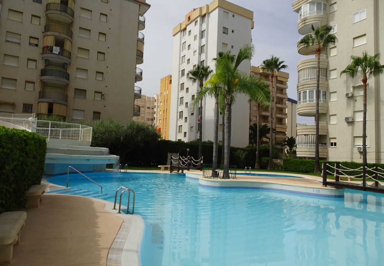 Apartment in Gandía - TROPICANA PARK 18 - 3ª - 8º - 48ª